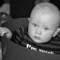 Gal_131805_0100 copy